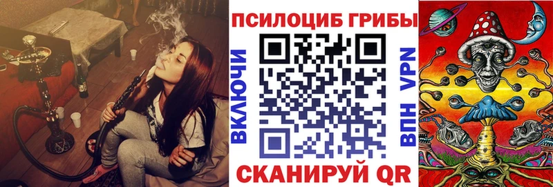 сколько стоит  Чулым  Псилоцибиновые грибы мухоморы 
